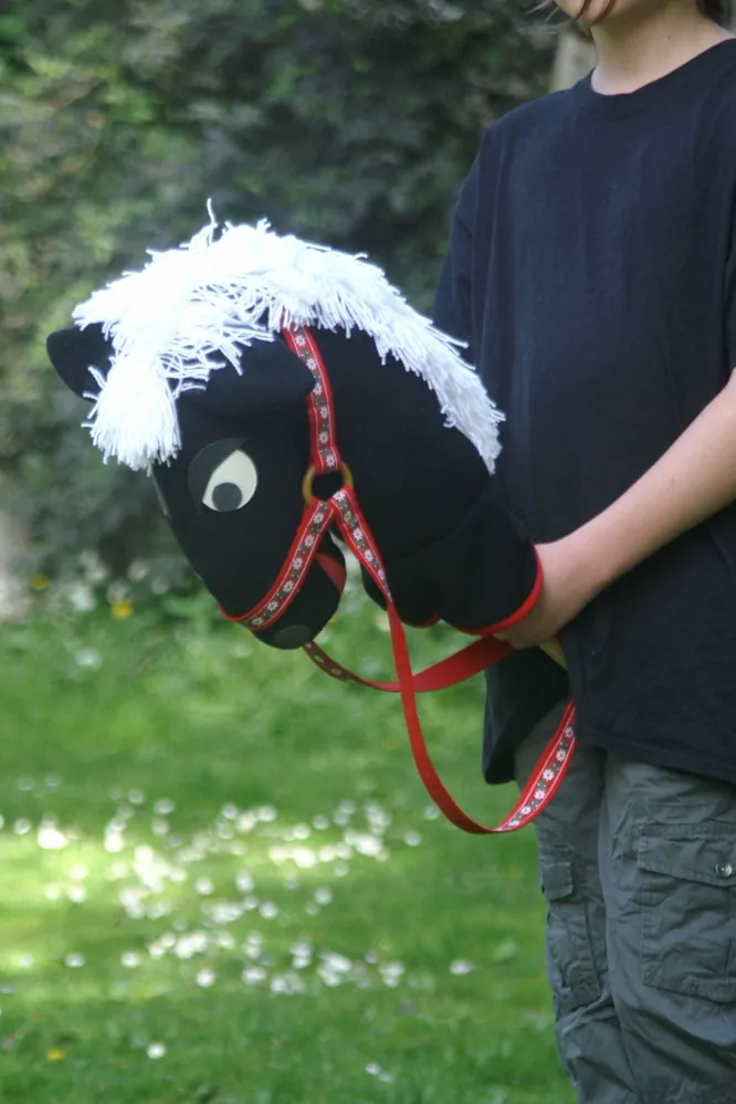 CEDR Textilní kůň na tyči