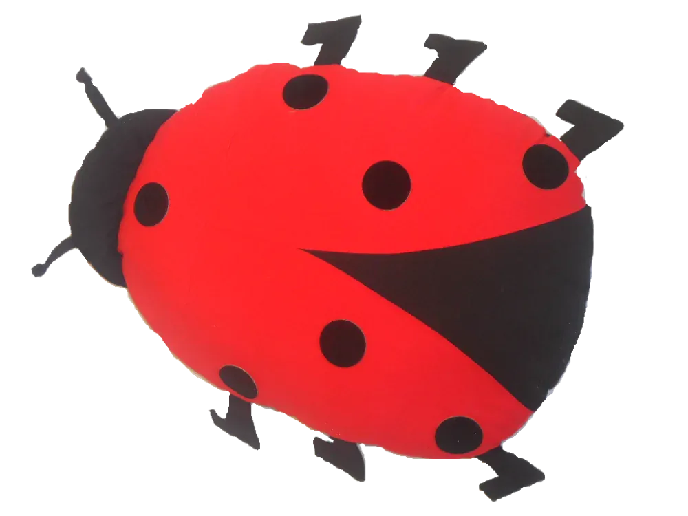 CEDR Polštář beruška 57x40cm