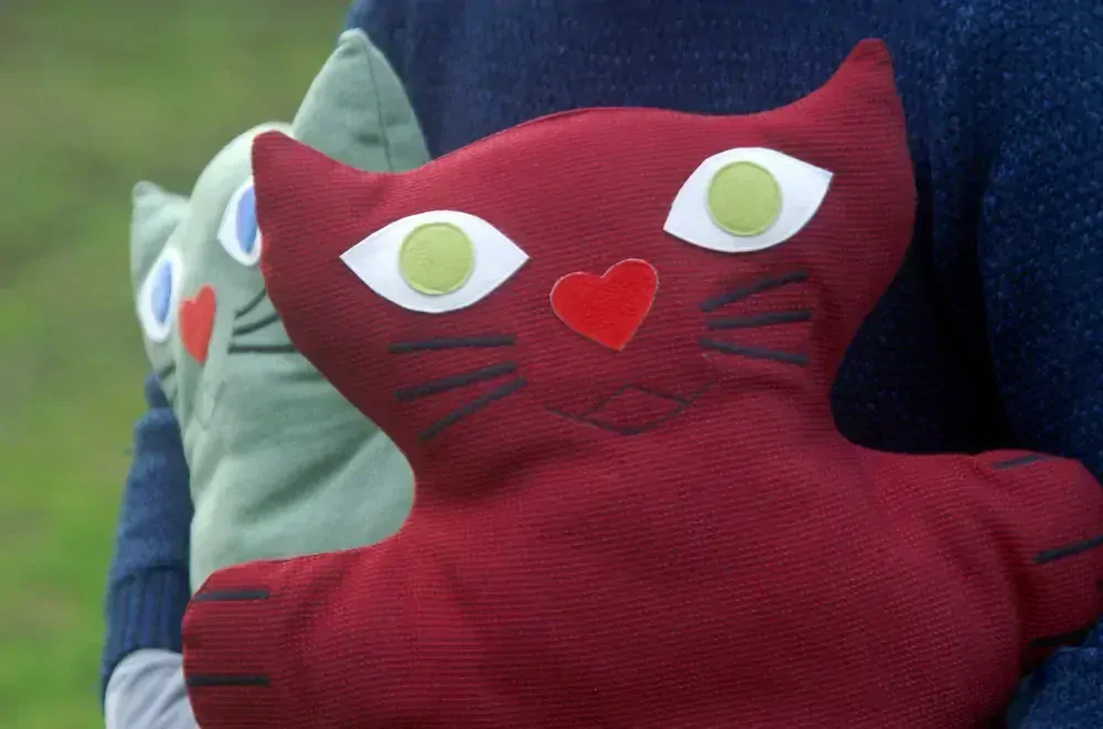 CEDR Polštář Jepina 41x39 cm