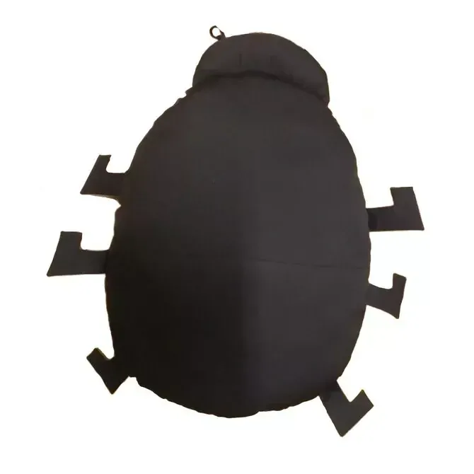 CEDR Polštář beruška 57x40cm