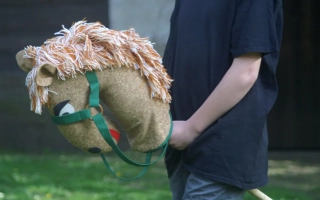 CEDR Textilní kůň na tyči